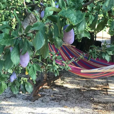 Boho @trullo Trelisa