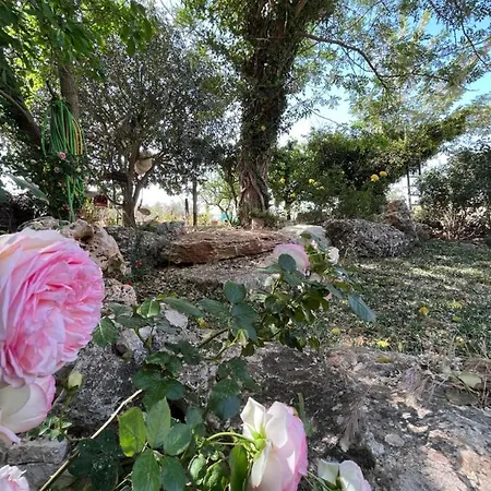 Boho @trullo Trelisa